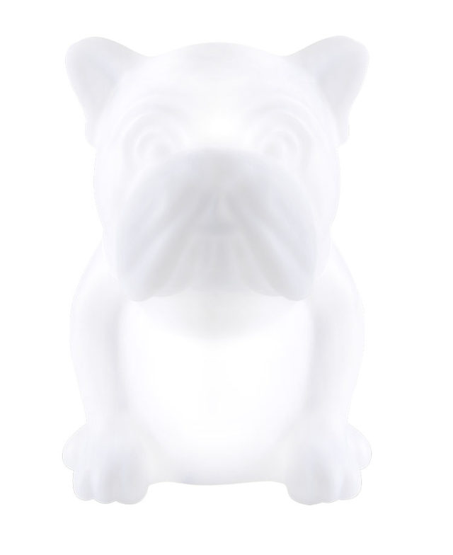 Wireless luminous speaker BTLSDOG BIGBEN - Packshot